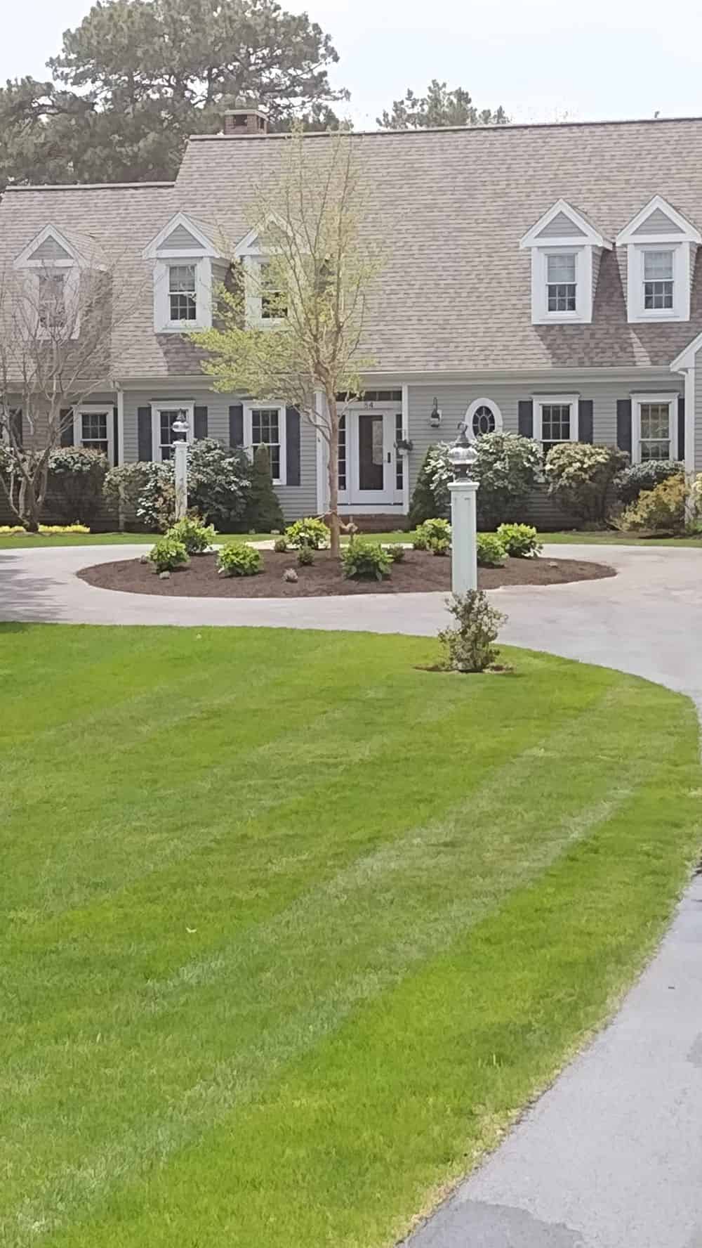 Landscape Maintenance and Renovation image