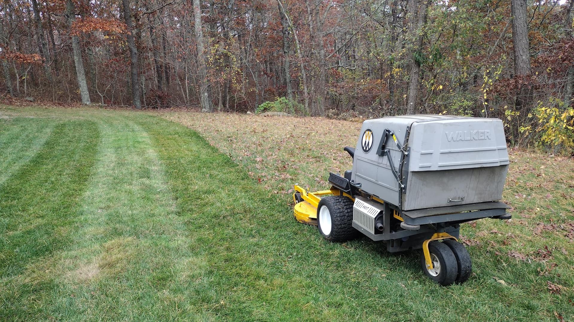 Leaf Cleanup and Lawn Mowing