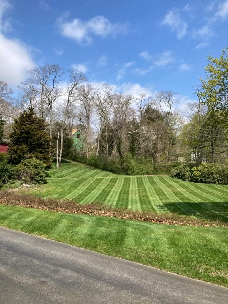 Project Spring Lawn Revamp with Precision Stripes image