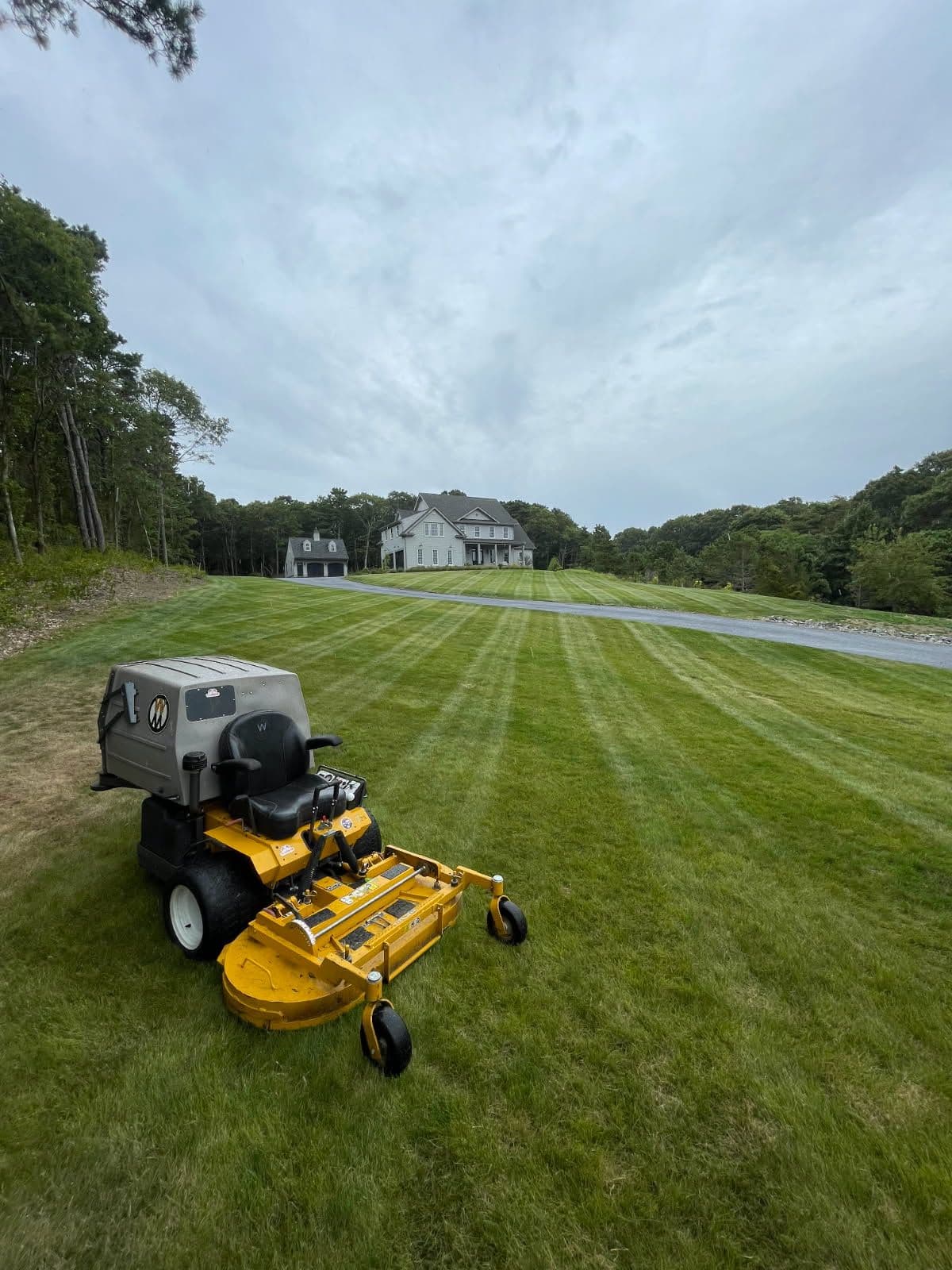 Project Achieve Stunning Lawns With Professional Mowing Service image