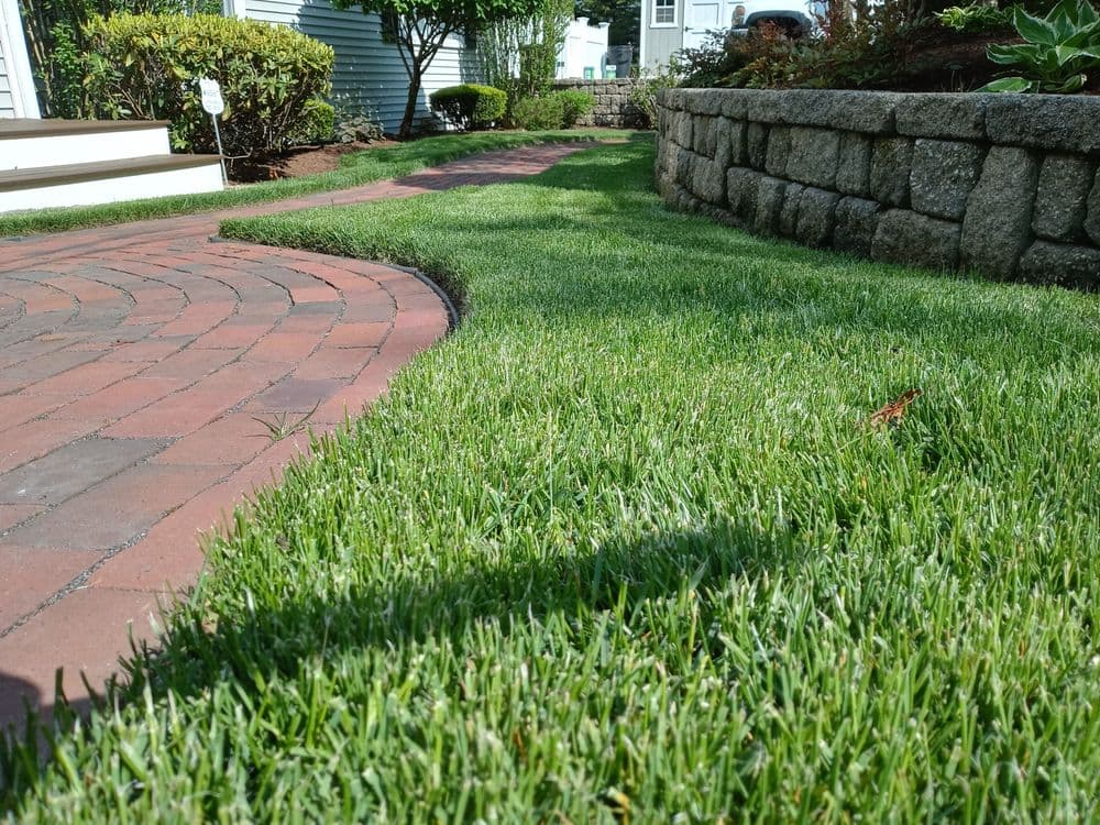 Grass with patio installation